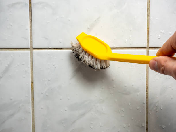 Best Mold Removal Near Me  in Frent Hills, MO