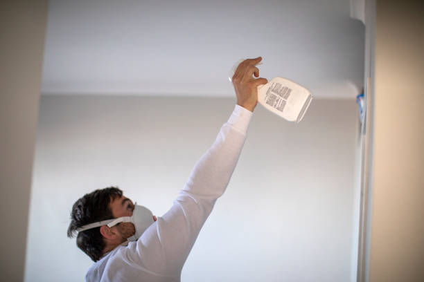 Best Residential Mold Removal  in Frent Hills, MO