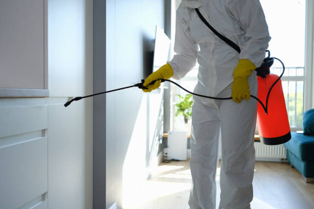 Best Mold Remediation Experts  in Frent Hills, MO