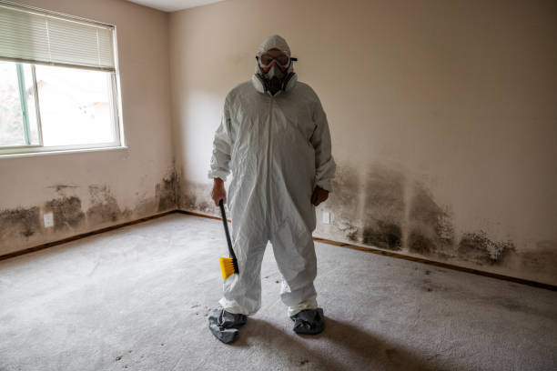 Best Attic Mold Removal  in Frent Hills, MO